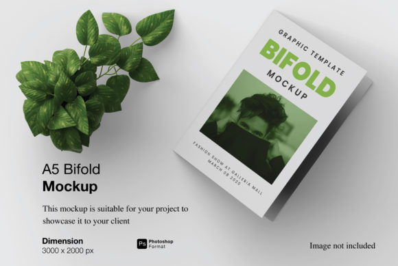 Mastering Professional Presentations with the A5 Bifold Mockup